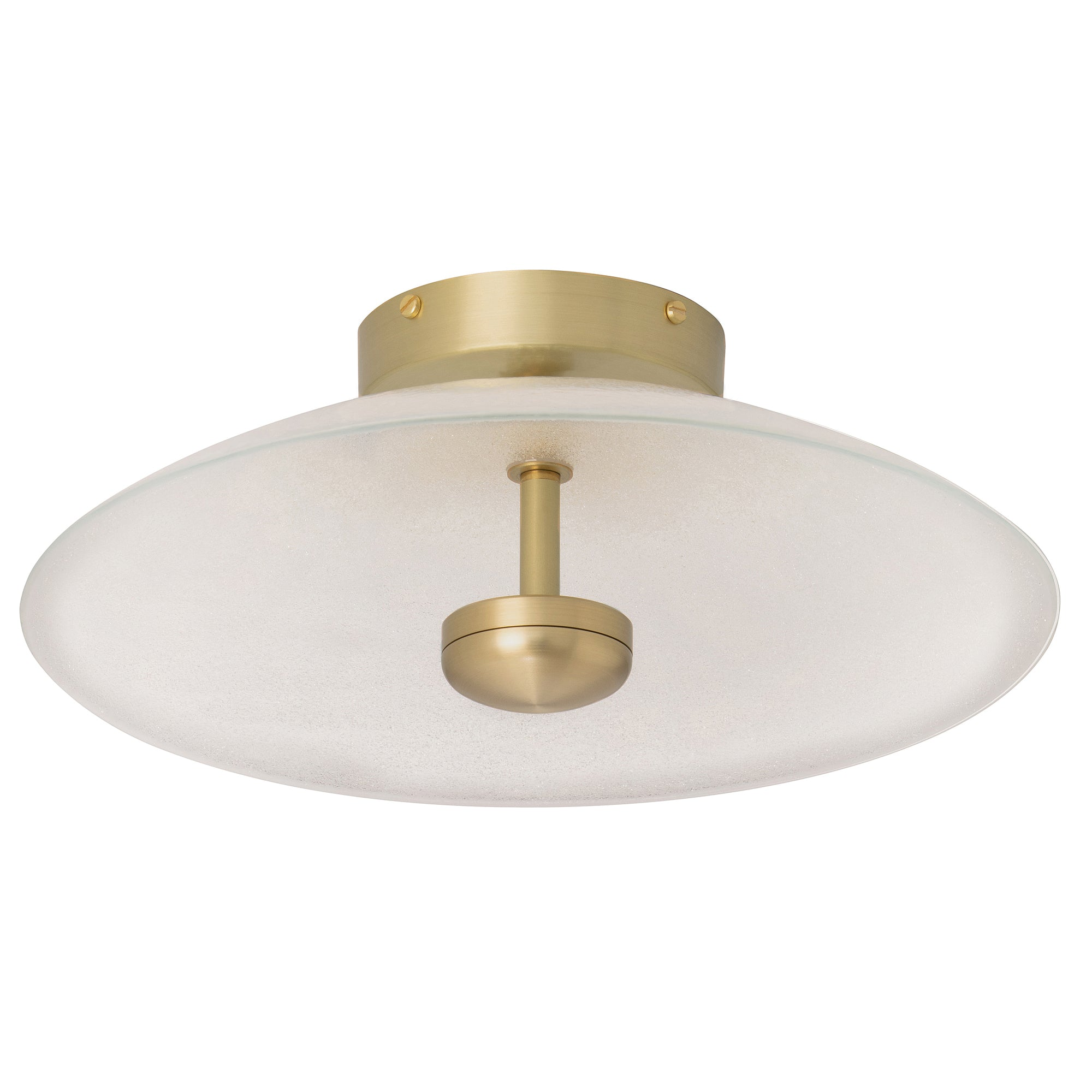 Cielo Wall / Ceiling Light