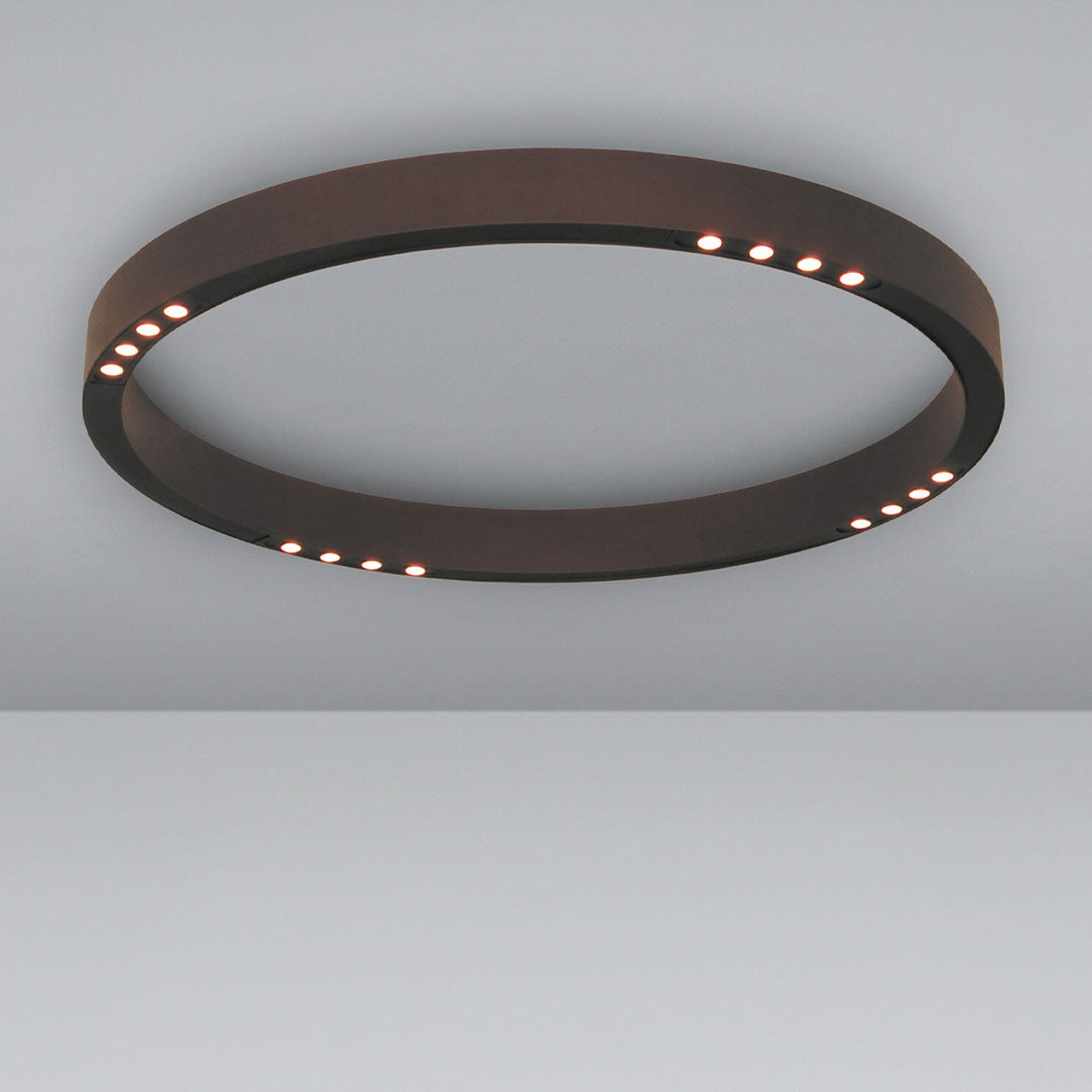 R2 Ceiling Light Fixture