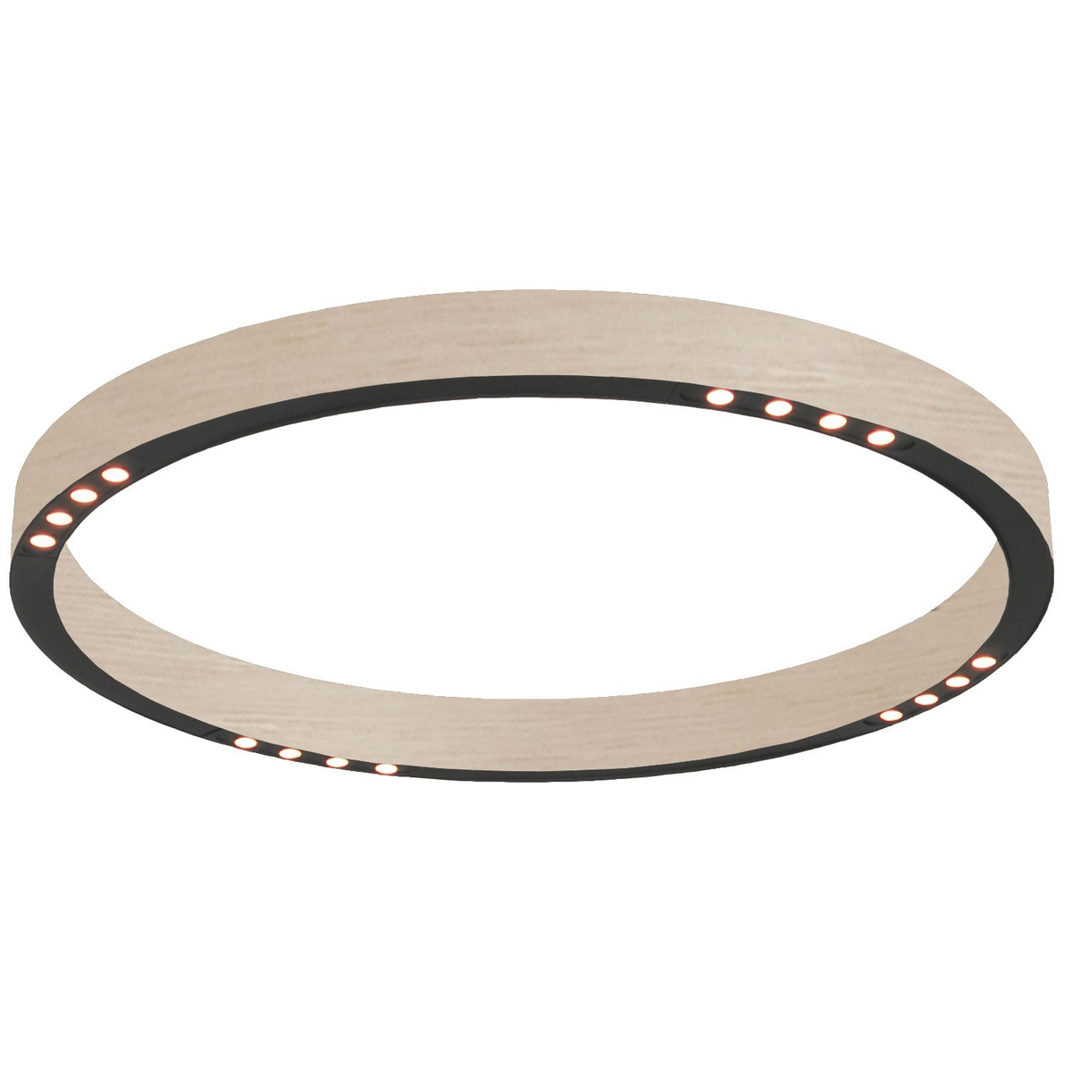 R2 Ceiling Light Fixture