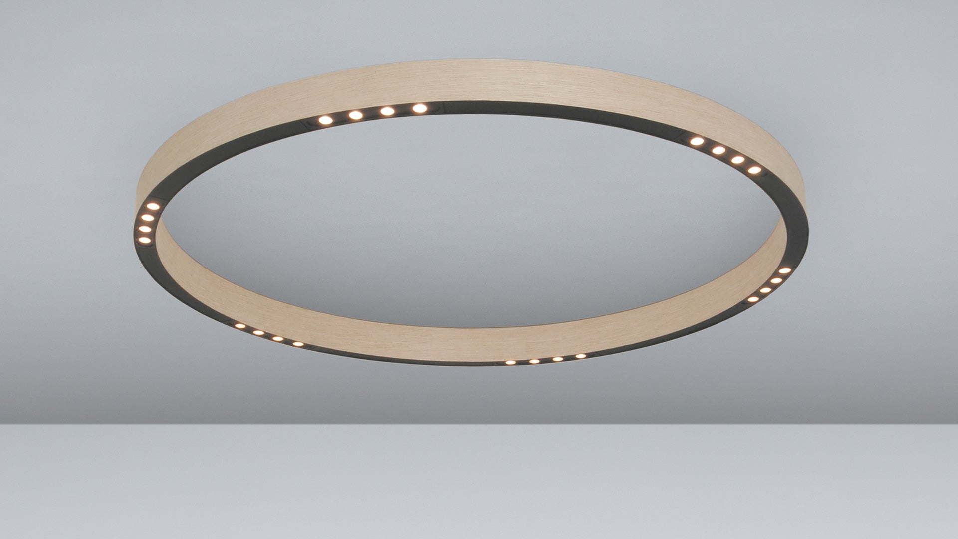 R2 Ceiling Light Fixture
