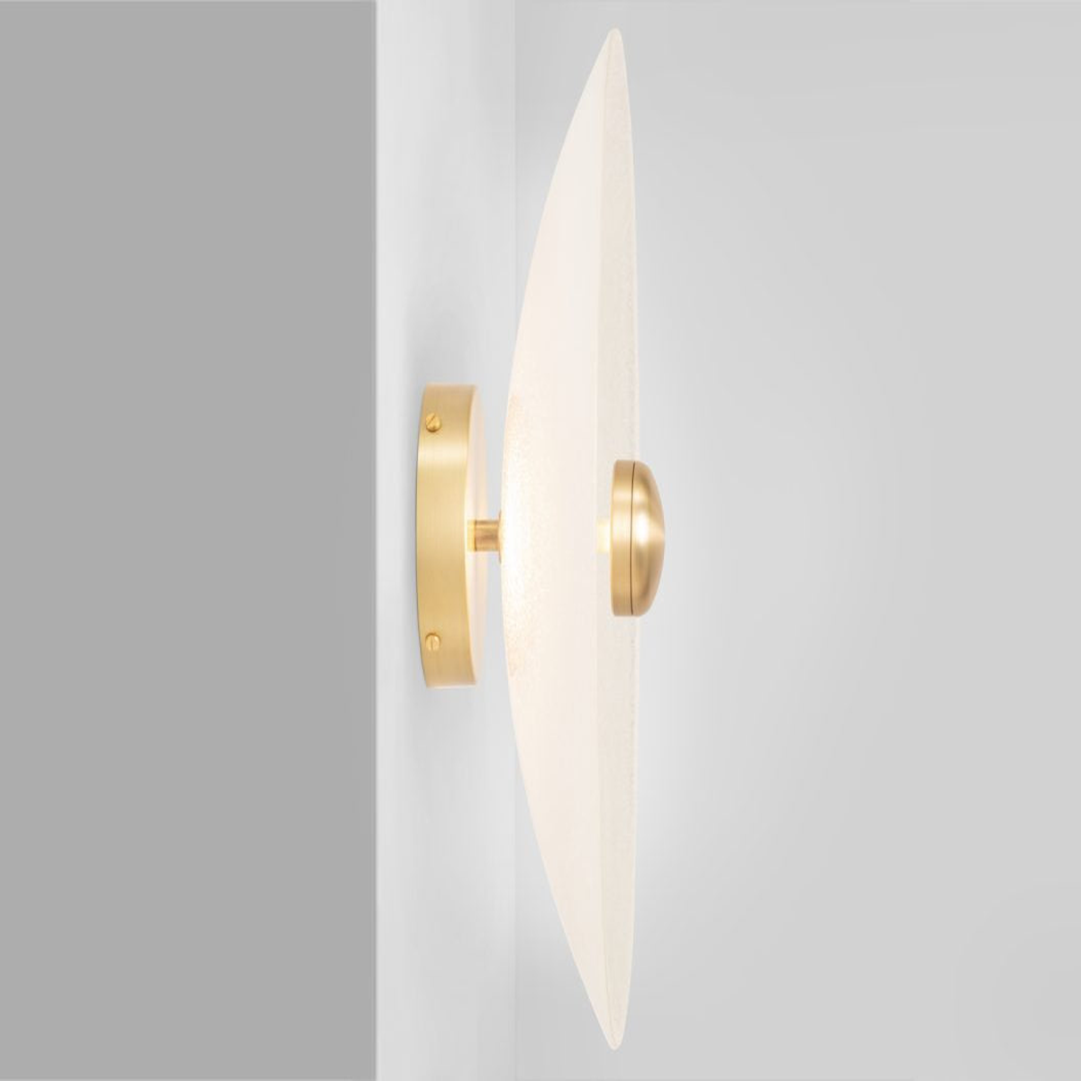 Cielo Wall / Ceiling Light