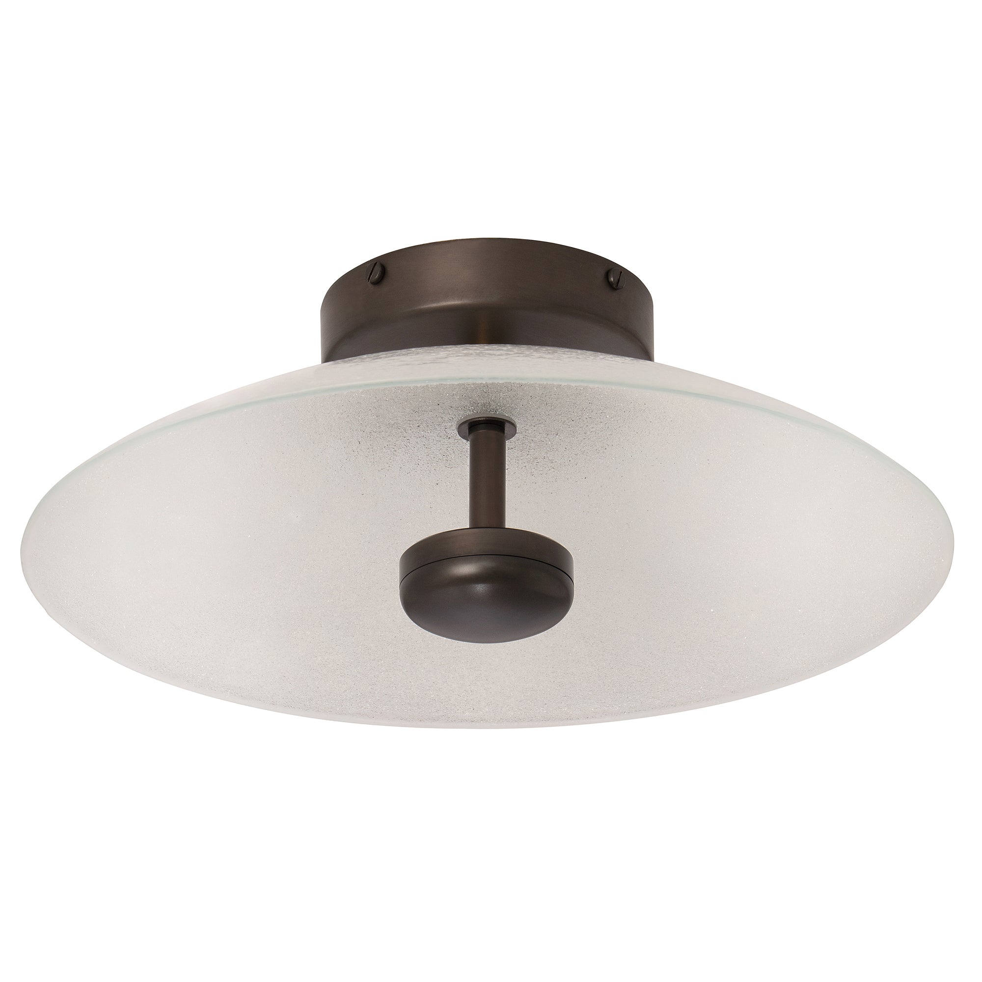 Cielo Wall / Ceiling Light